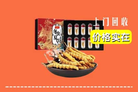枣庄市山亭回收冬虫夏草