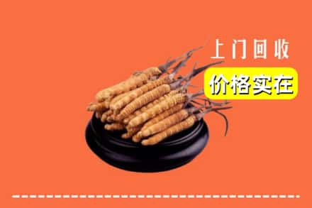 枣庄市山亭回收冬虫夏草